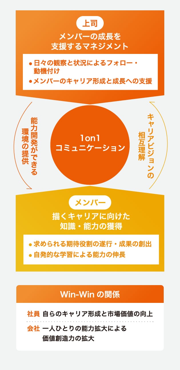 入社からのキャリアに応じた幅広い教育プログラムが社員一人一人のキャリアプランをサポートします。